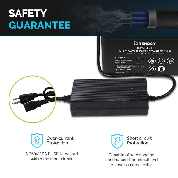 Member Price 20A 240V AC to DC Lithium Iron Phosphate Battery Charger - Image 4