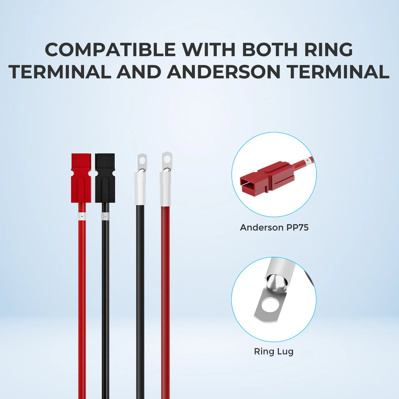 Renogy 10FT 6AWG Anderson Adapter Cable（Anderson PP75 - Ring Lug） - Image 3